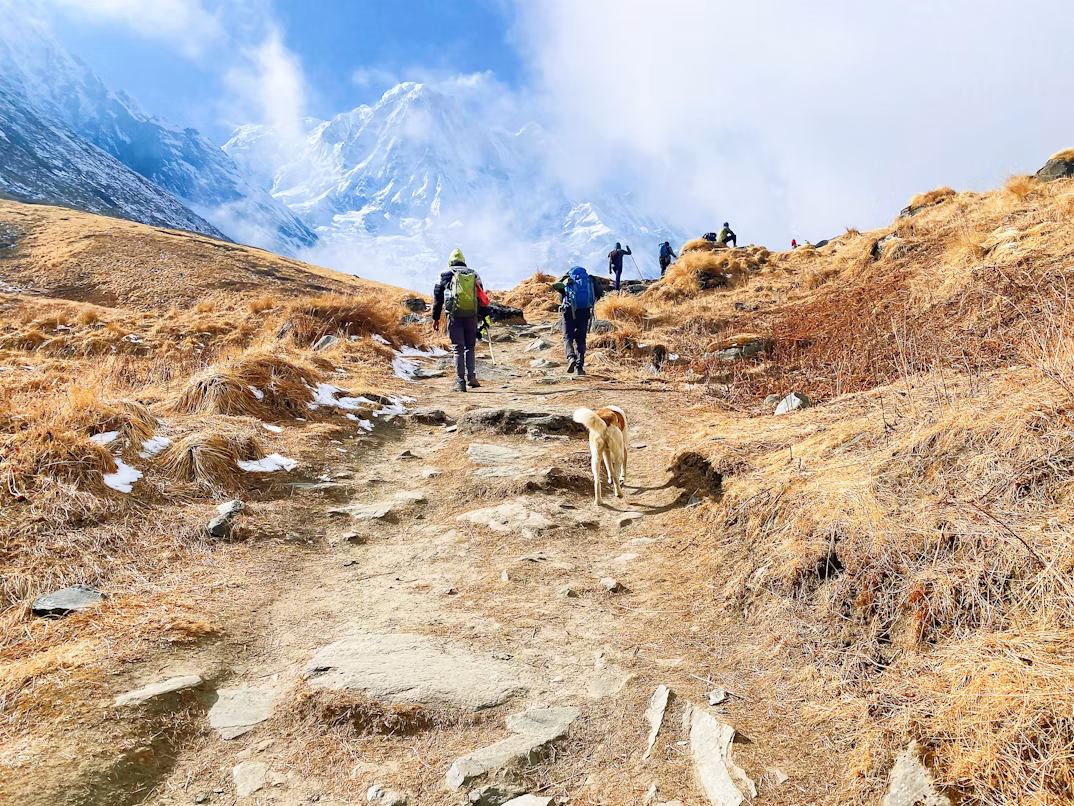 Hiking & Trekking